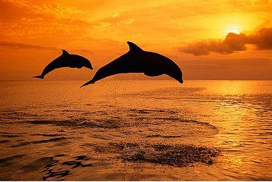 传闻：EA MOTIVE的《钢铁侠》游戏已经开始测试